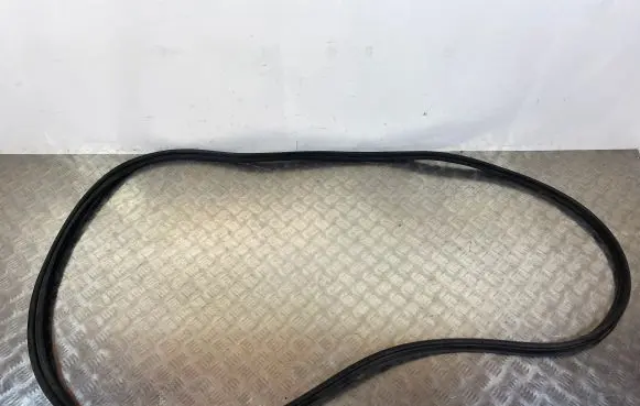 Trunk rubber seal (body)