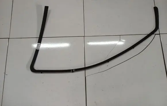 Renault Laguna III Front door glass trim molding 1487412077