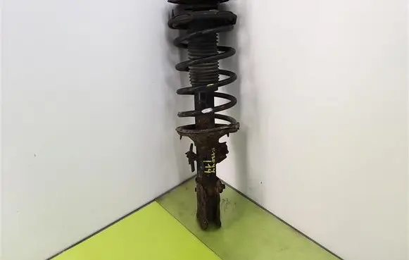 Hyundai Getz Front shock absorber with coil spring 