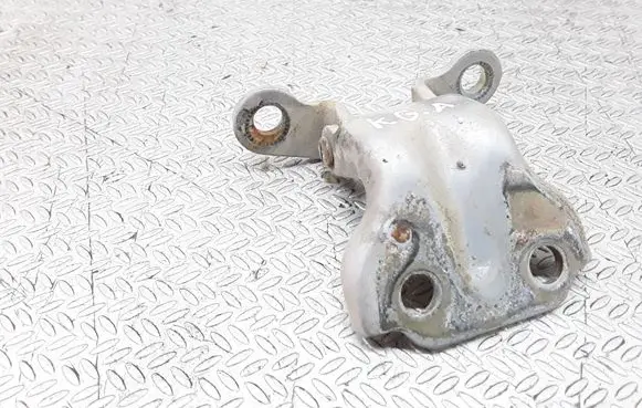 Hyundai Terracan Rear door lower hinge