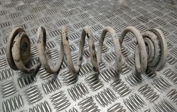 Rear coil spring