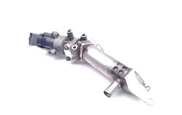EGR valve
