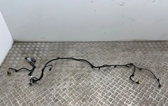 Citroen C4 II Picasso Parking sensor (PDC) wiring loom 9816195580