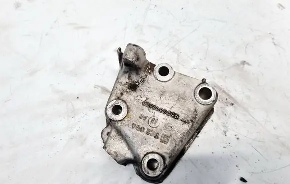 Peugeot 407 Engine mounting bracket 9628311880