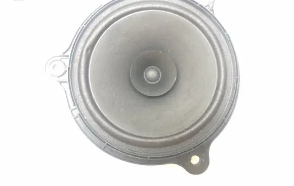 Renault Trafic III (X82) Front door speaker 577449