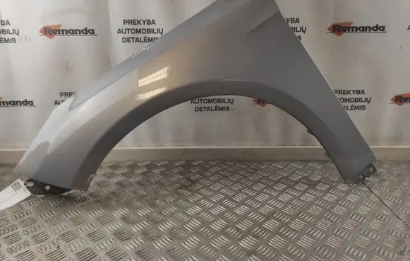 Ford Focus Fender