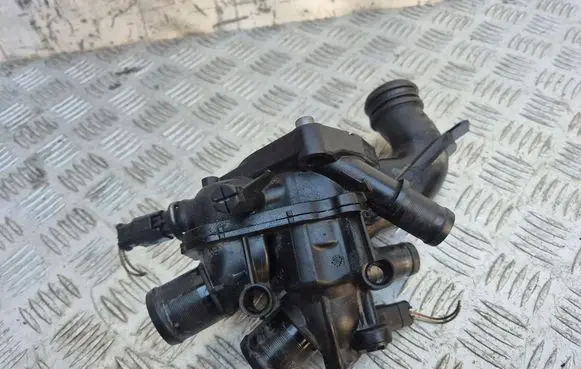 Thermostat/thermostat housing