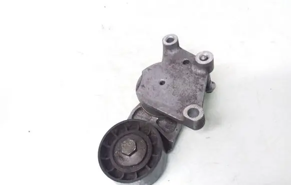 Peugeot 206 Generator/alternator belt tensioner 419484