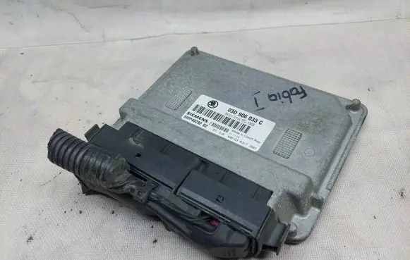 Skoda Fabia Mk1 (6Y) Engine control unit/module 03D906033C 5WP4029202