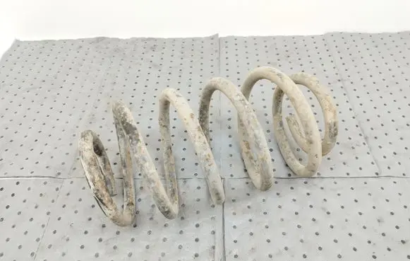 Rear coil spring