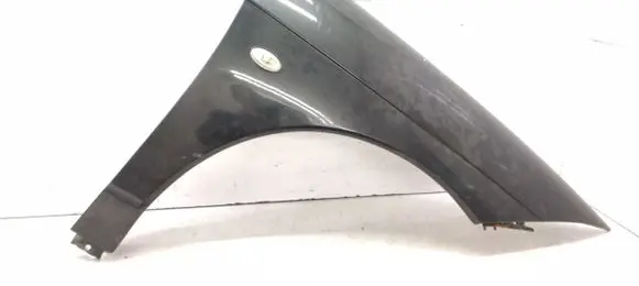 Citroen C6 Fender EYPC