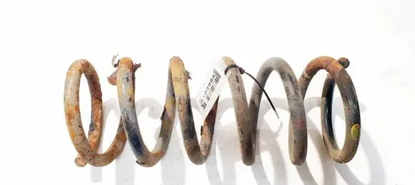 Ford S-MAX Rear coil spring