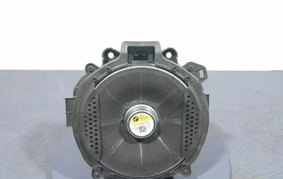 BMW X5 E53 Subwoofer speaker 2622516