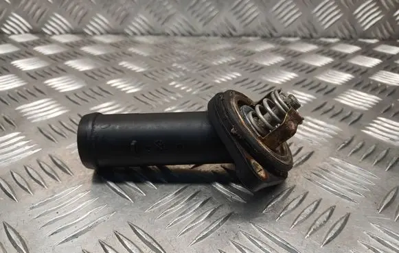 Thermostat/thermostat housing