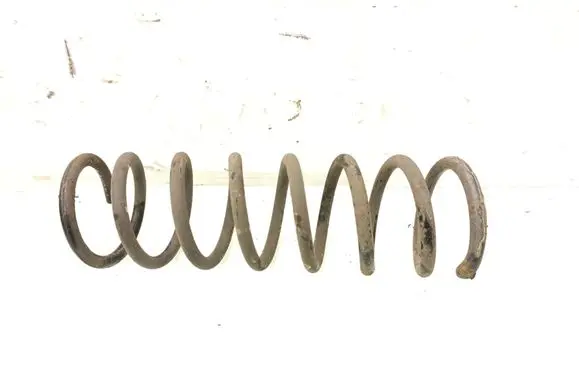 Rear coil spring