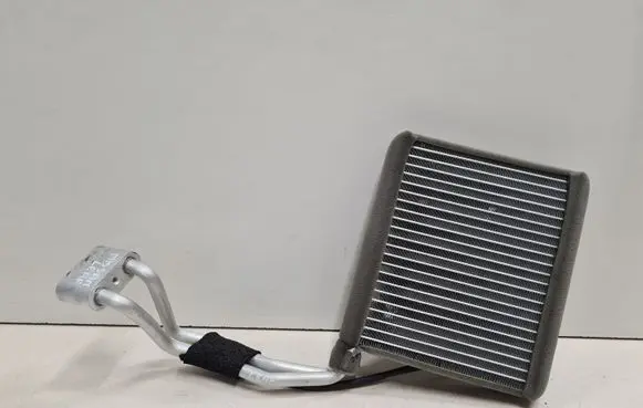 Nissan Leaf I (ZE0) Heater blower radiator 10172317124 IC001 T1026039W846