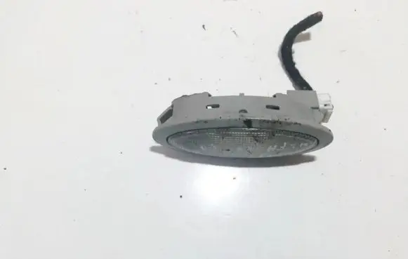 Rear seat light