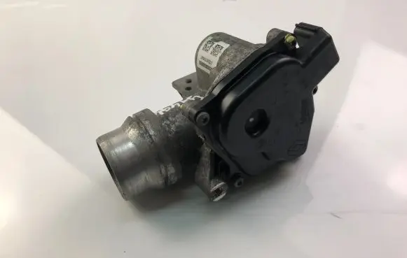 Renault Megane III Throttle valve 8200614985