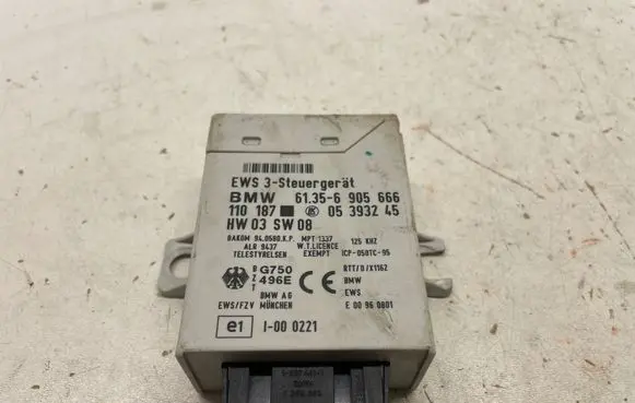 BMW 5 E39 Immobilizer control unit/module 6905666 61356905666 05393245