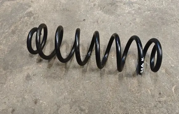 Rear coil spring