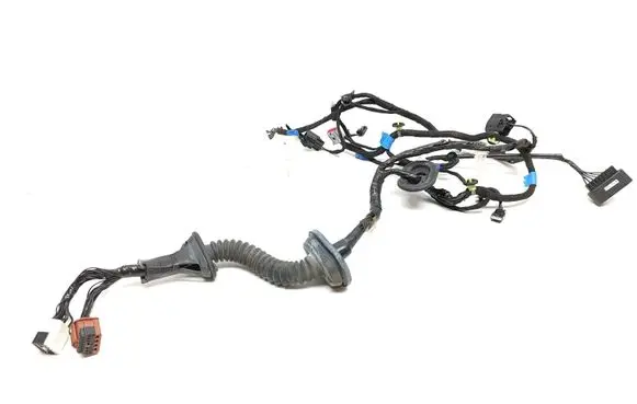 Front door wiring loom