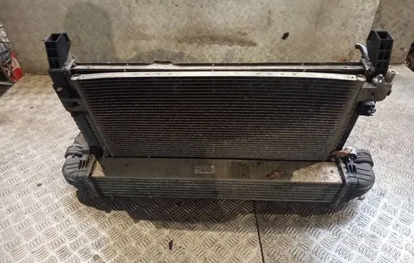 Mercedes-Benz B W245 Radiator set A1695000000 G0976002
