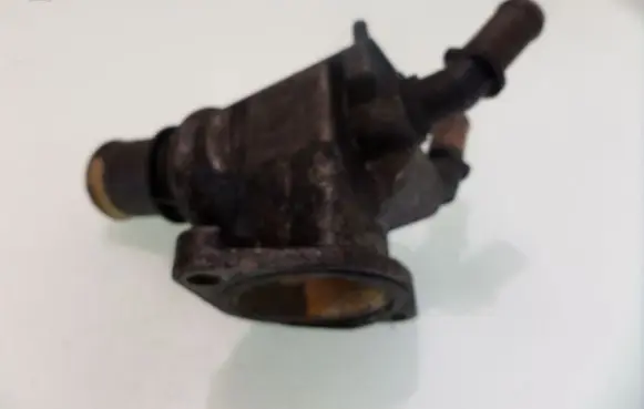 Thermostat/thermostat housing
