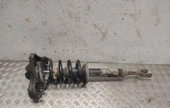 Seat Exeo (3R) Front shock absorber with coil spring