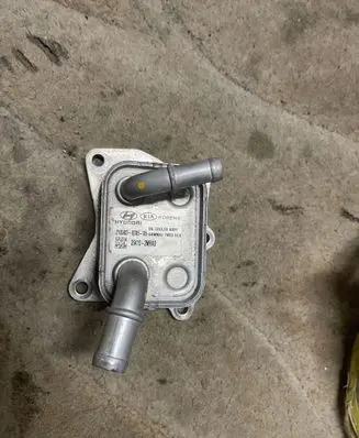 Hyundai Santa Fe Other devices 264102MHAO