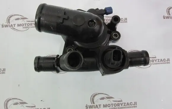 Thermostat/thermostat housing