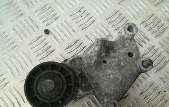Citroen C3 Generator/alternator belt tensioner tf049