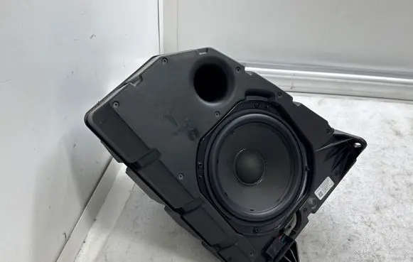 Tesla Model Y Subwoofer speaker 165626700B 166684100B 66684100