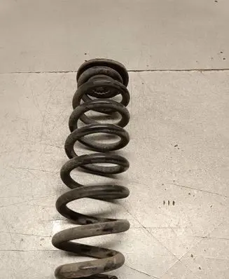 Opel Insignia B Rear coil spring 