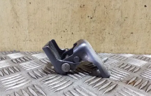 Citroen DS4 Front door lower hinge 