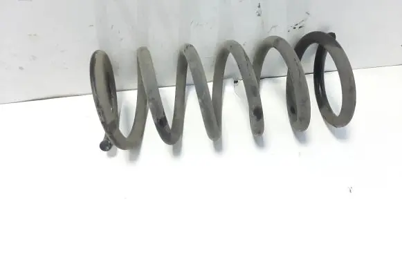 Opel Antara Rear coil spring