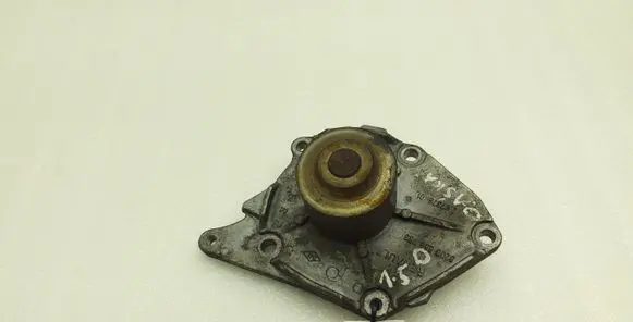 Nissan Qashqai+2 Water pump 8200558733