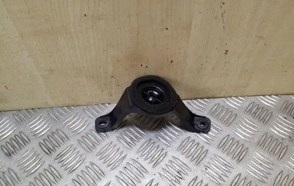 Toyota RAV 4 (XA30) Panel speaker 8616042120