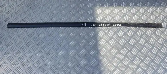 Front door trim (molding)