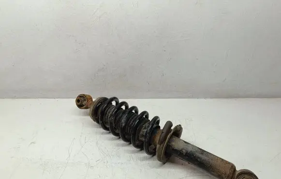 Peugeot 508 Rear shock absorber with coil spring 9651966980