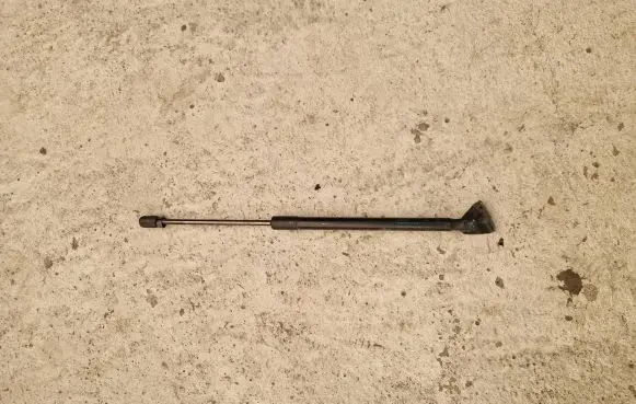Tailgate/trunk strut/damper