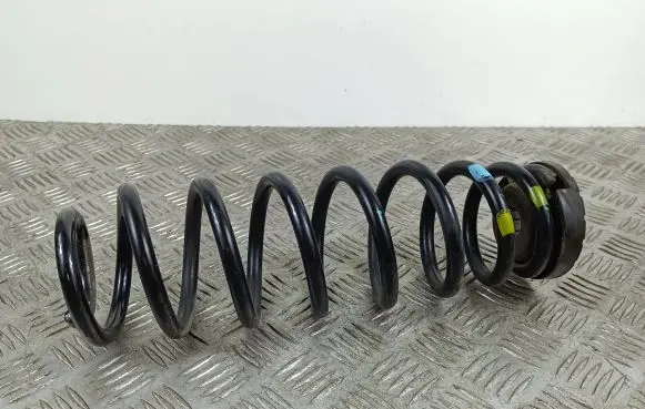 Hyundai Kona I Rear coil spring