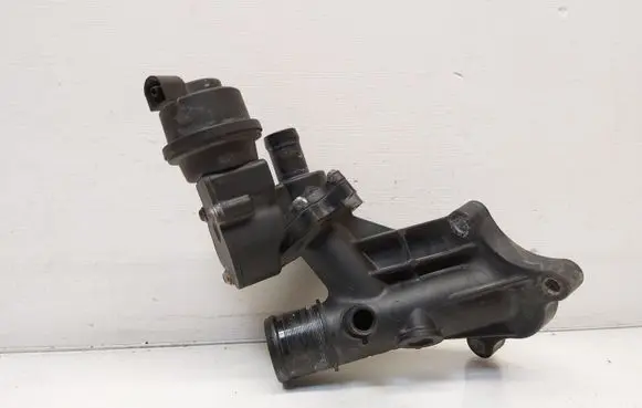 Nissan Qashqai Thermostat housing 110600686R