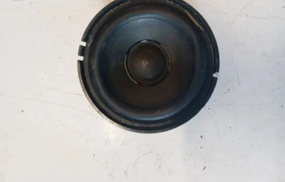 Panel speaker