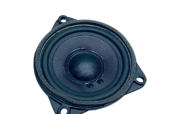 Audi E-tron GT Rear door speaker 971035415C