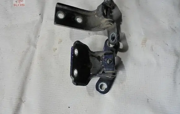 Hyundai Genesis Rear door hinge set 