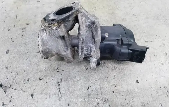 Citroen C4 Grand Picasso EGR valve 9672880080