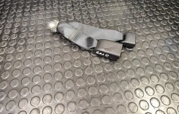 Nissan Murano Z51 Rear seatbelt buckle TKAH0EG491