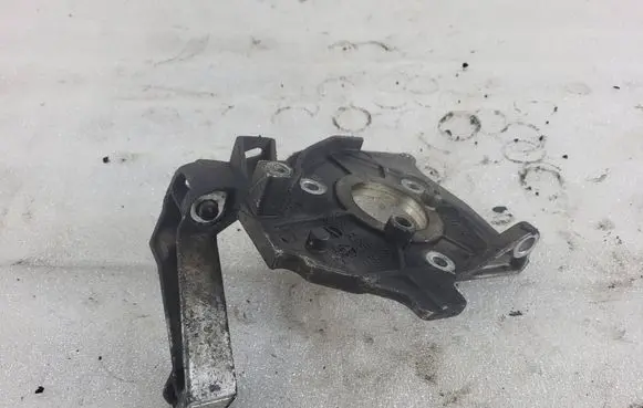 Citroen C4 Grand Picasso Fuel pump bracket 9654959880