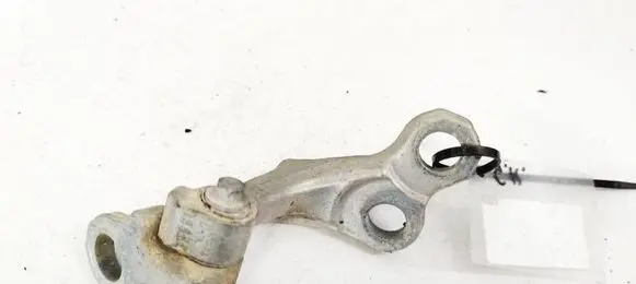 Rear door lower hinge