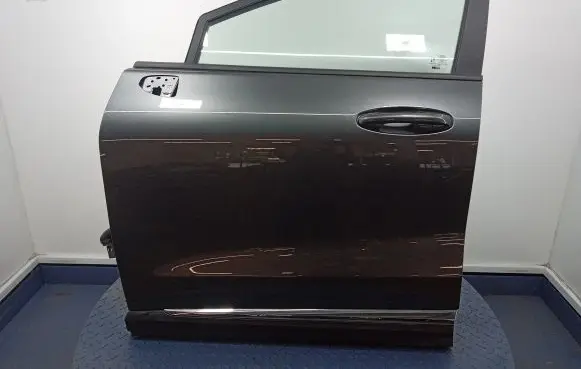 Ford Puma Front door